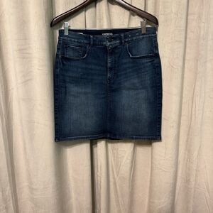 Express Dark Blue Mini Skirt